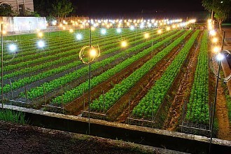 国内外 LED 植物照明产业发展空间调查分析报告