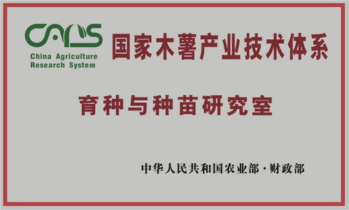 国家木薯产业技术体系育种与种苗研究室正式挂牌