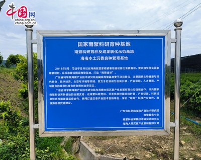 国家南繁科研育种基地又一项目落地——琼粤合作打造沉香产业技术协同创新中心