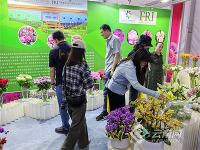 国风月季喜获最具市场潜力切花新品种优胜奖_云南看点