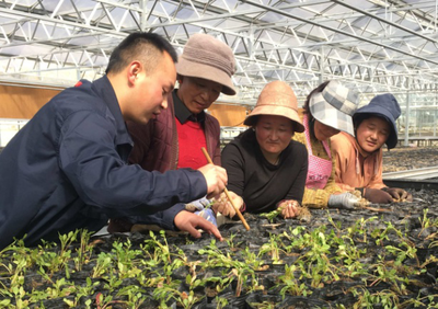 蒙草扎根西藏 生态产业扶贫受关注:国务院扶贫办主任刘永富调研藏草基地